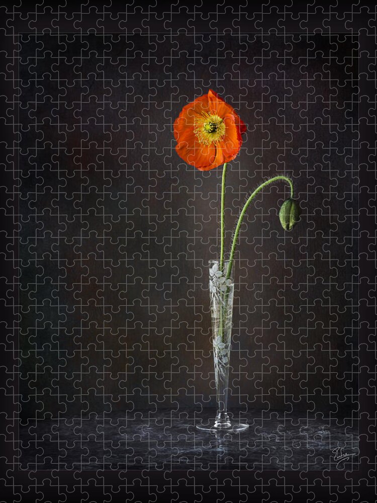 Flower Jigsaw Puzzle featuring the photograph Poppy In Vase by Endre Balogh