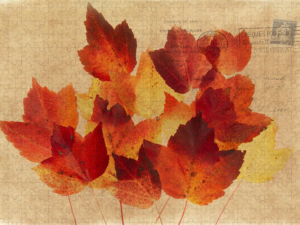 Leaves Jigsaw Puzzle featuring the photograph Postcard Leaves by Rebecca Cozart