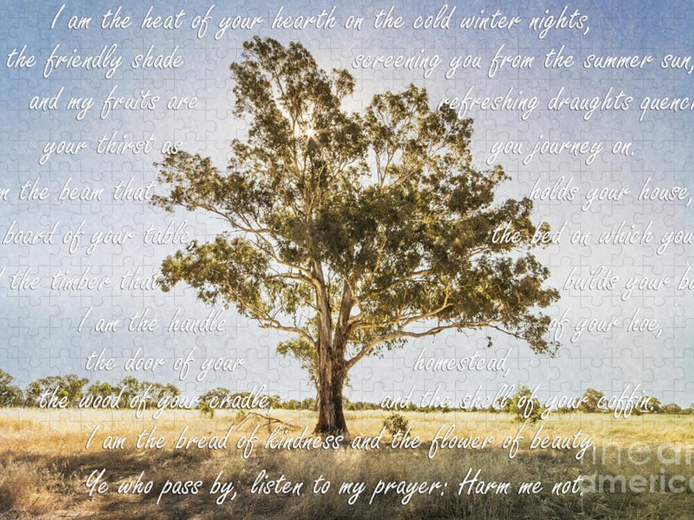 Tree Jigsaw Puzzle featuring the photograph Prayer of the Woods by Linda Lees