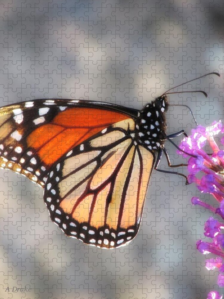 Butterfly Jigsaw Puzzle featuring the digital art Preference for Pink by Alec Drake