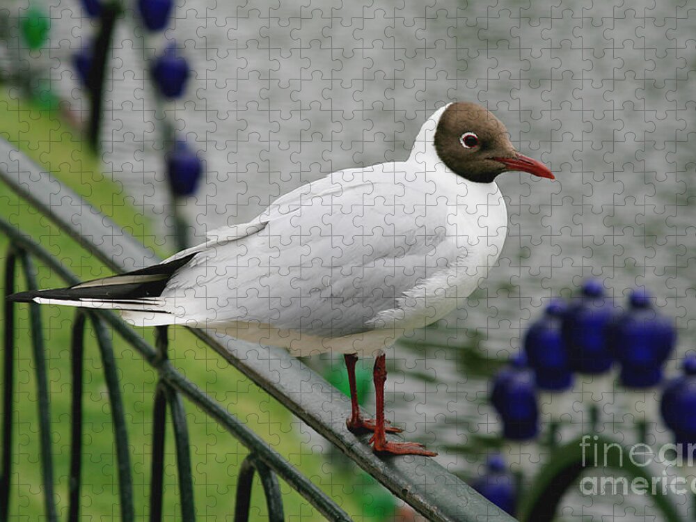 Pretty Bird Jigsaw Puzzle featuring the photograph Pretty Bird by Victoria Harrington