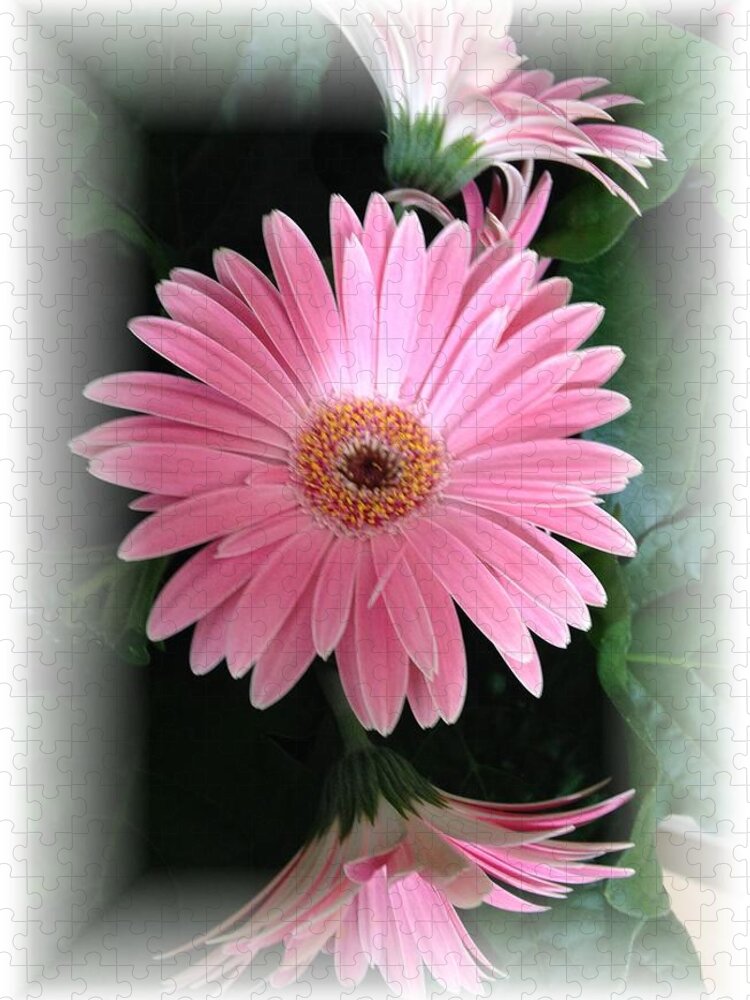 Pink Daisies Jigsaw Puzzle featuring the photograph Pretty In Pink by Marian Lonzetta