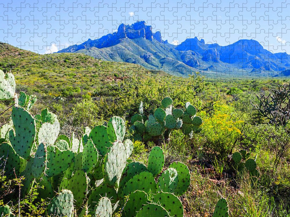 Chihuahua Desert Jigsaw Puzzle featuring the photograph Prickly Pear Cacti, Casa Grande Peak by Dszc