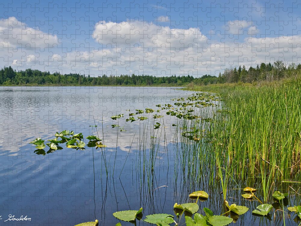 Beauty In Nature Jigsaw Puzzle featuring the photograph Puffy Clouds Reflected in a Lake by Jeff Goulden