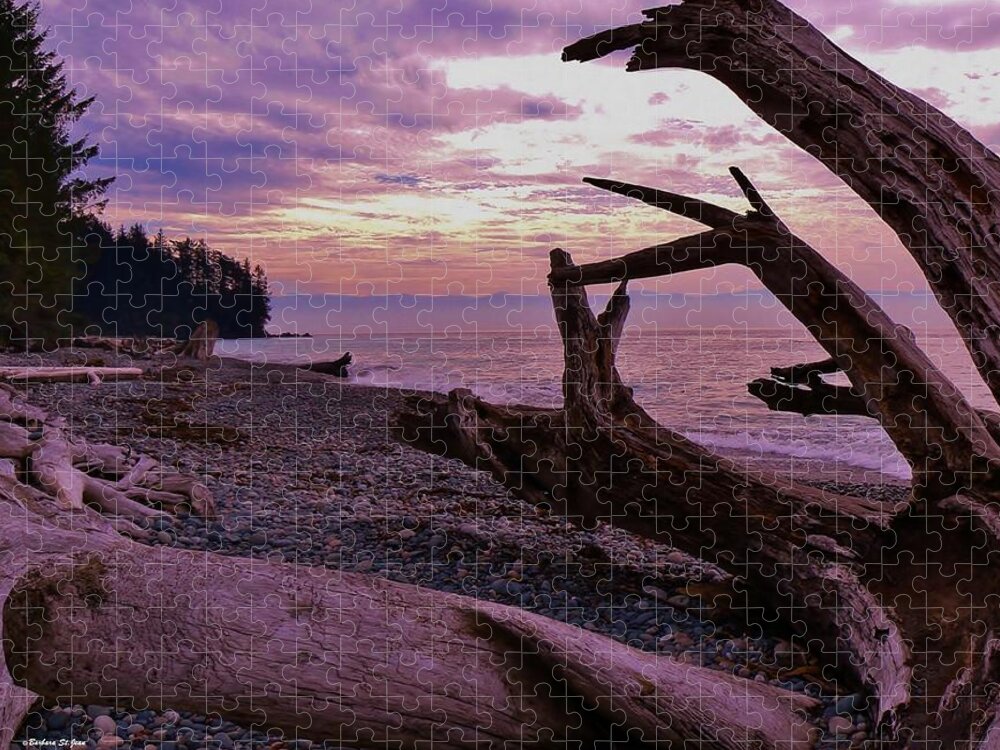 Purple Dreams In Bc Jigsaw Puzzle featuring the photograph Purple Dreams in BC by Barbara St Jean
