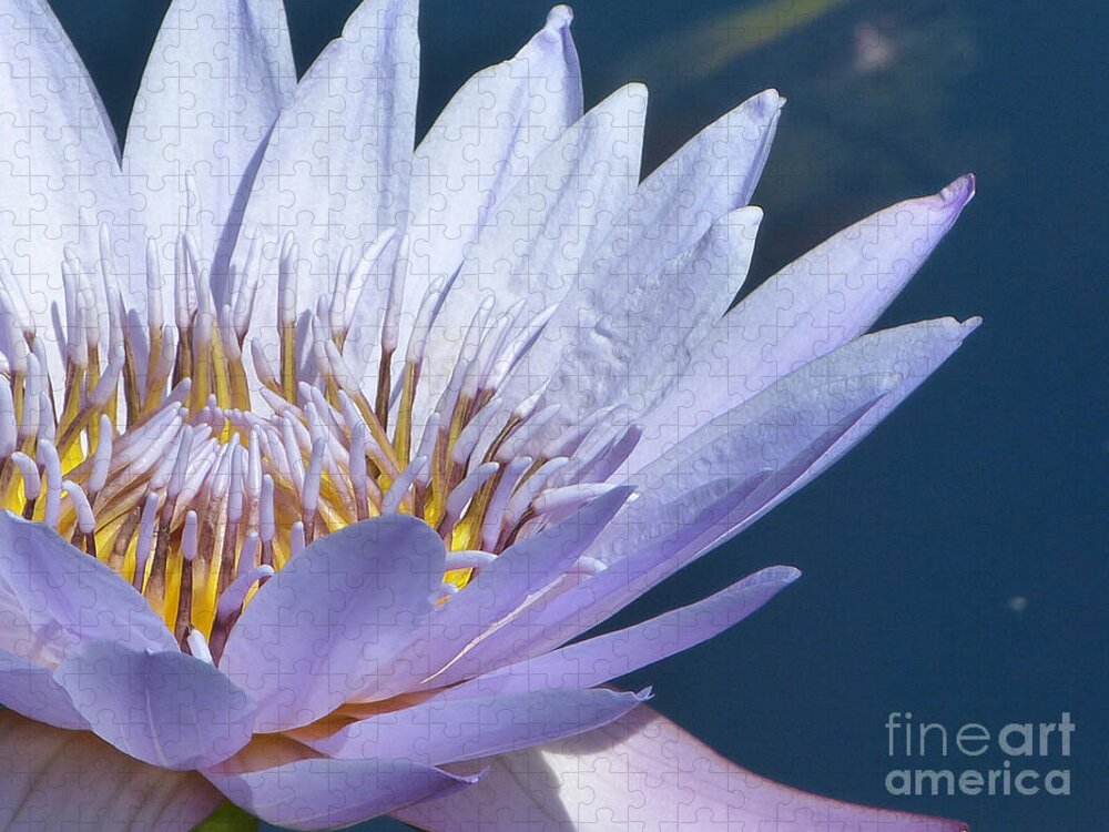 Flower Jigsaw Puzzle featuring the photograph Purple Glory II by Marguerita Tan