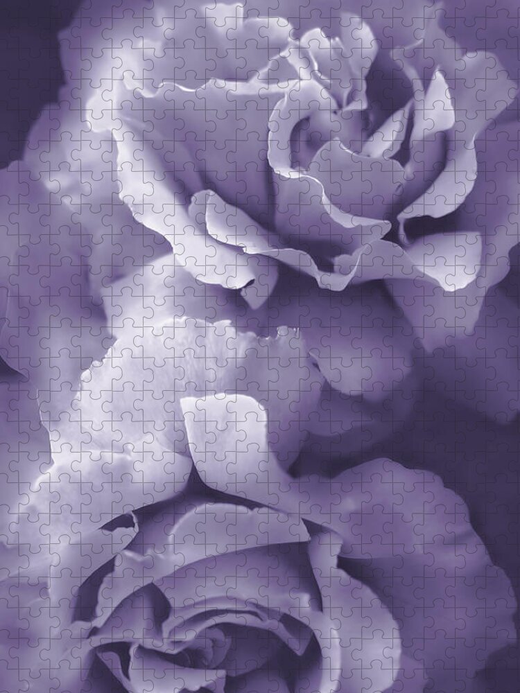 Rose Jigsaw Puzzle featuring the photograph Purple Lavender Roses by Jennie Marie Schell