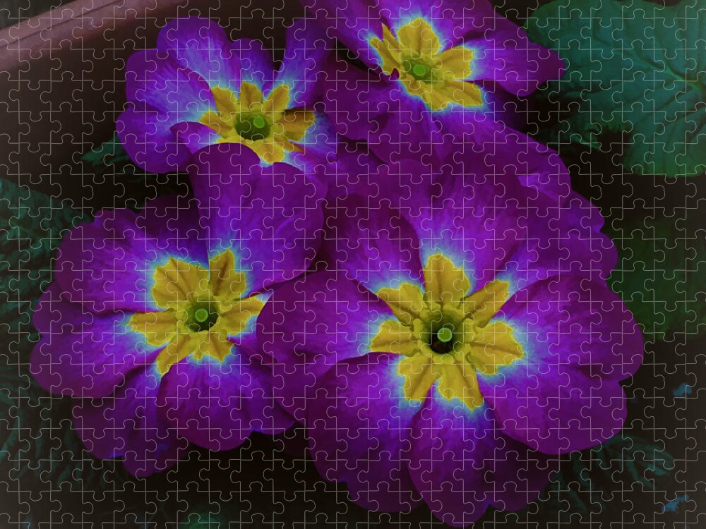 Wall Decor Jigsaw Puzzle featuring the photograph Purple Primrose by Ron Roberts