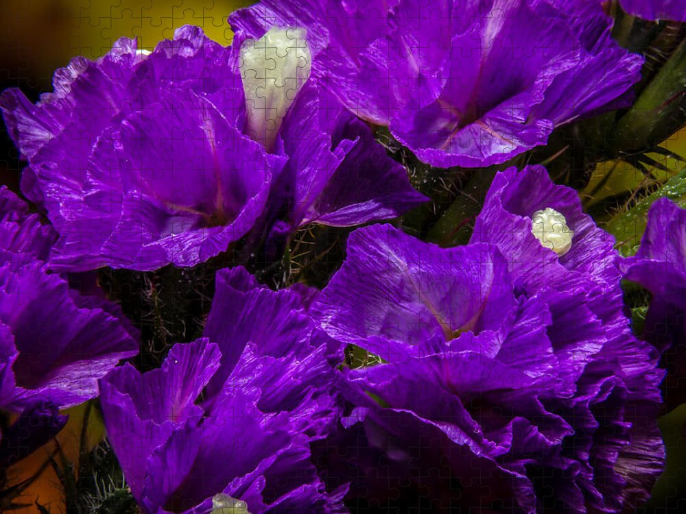 Flower Jigsaw Puzzle featuring the photograph Purple Statice by Ron Pate