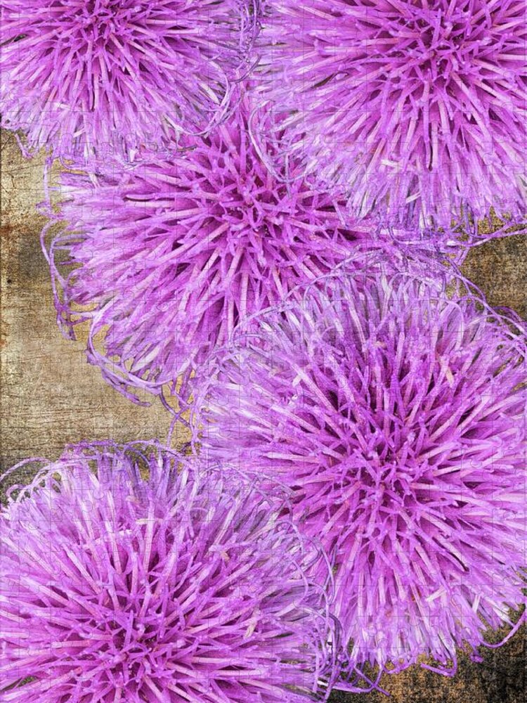 Thistle Jigsaw Puzzle featuring the photograph Purple thistle - 2 by Rudy Umans