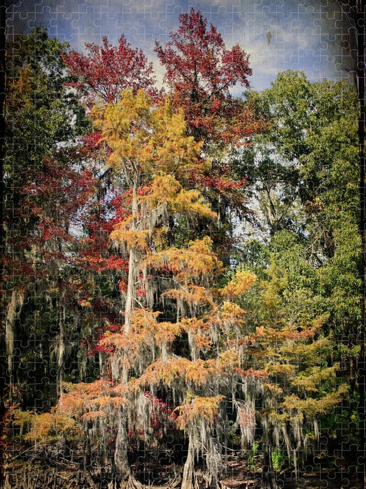 Autumn Jigsaw Puzzle featuring the photograph Raggedy Bayou by Lana Trussell