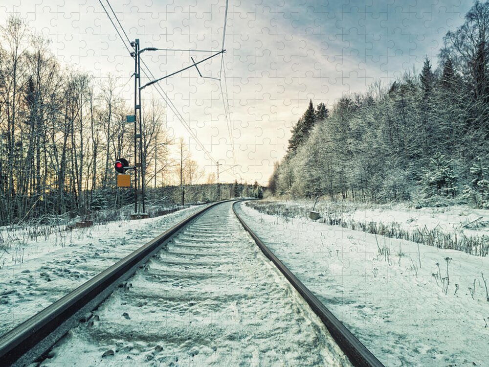 Snow Jigsaw Puzzle featuring the photograph Railroad Track In A Snow Landscape by Cirano83