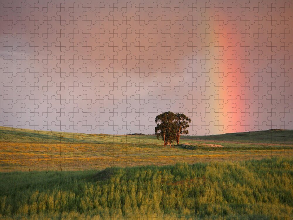 Feb0514 Jigsaw Puzzle featuring the photograph Rainbow And Fields At Twilight Alentejo by Duncan Usher