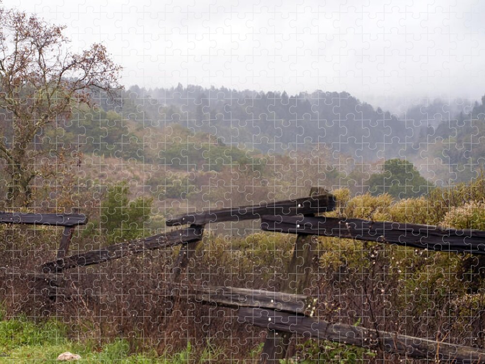 Mountain Jigsaw Puzzle featuring the photograph Santa Cruz mountains in fog by Haleh Mahbod