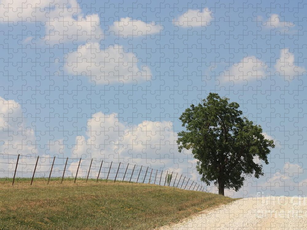 Randolph County Jigsaw Puzzle featuring the photograph Randolph County by Kathryn Cornett