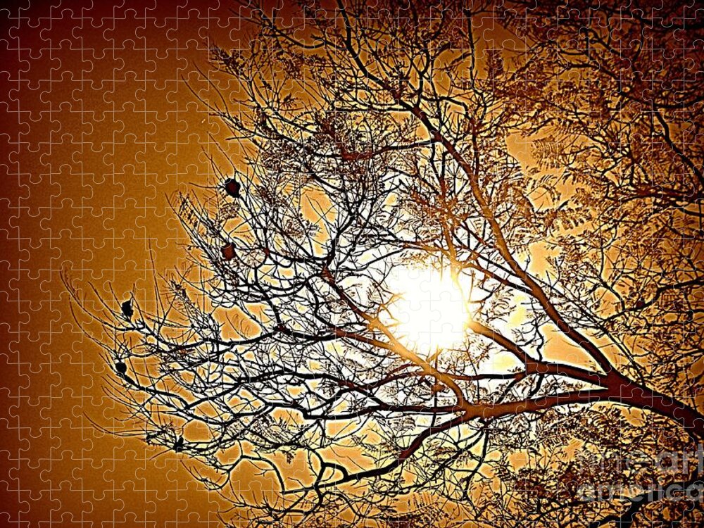 Trees Jigsaw Puzzle featuring the photograph Reaching for the Sun by Clare Bevan