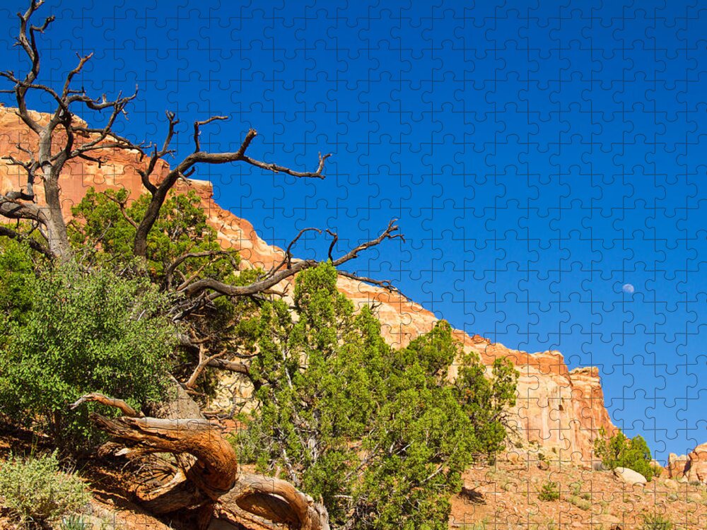 Capitol Reef National Park Jigsaw Puzzle featuring the photograph Reaching out to the moon by Kunal Mehra