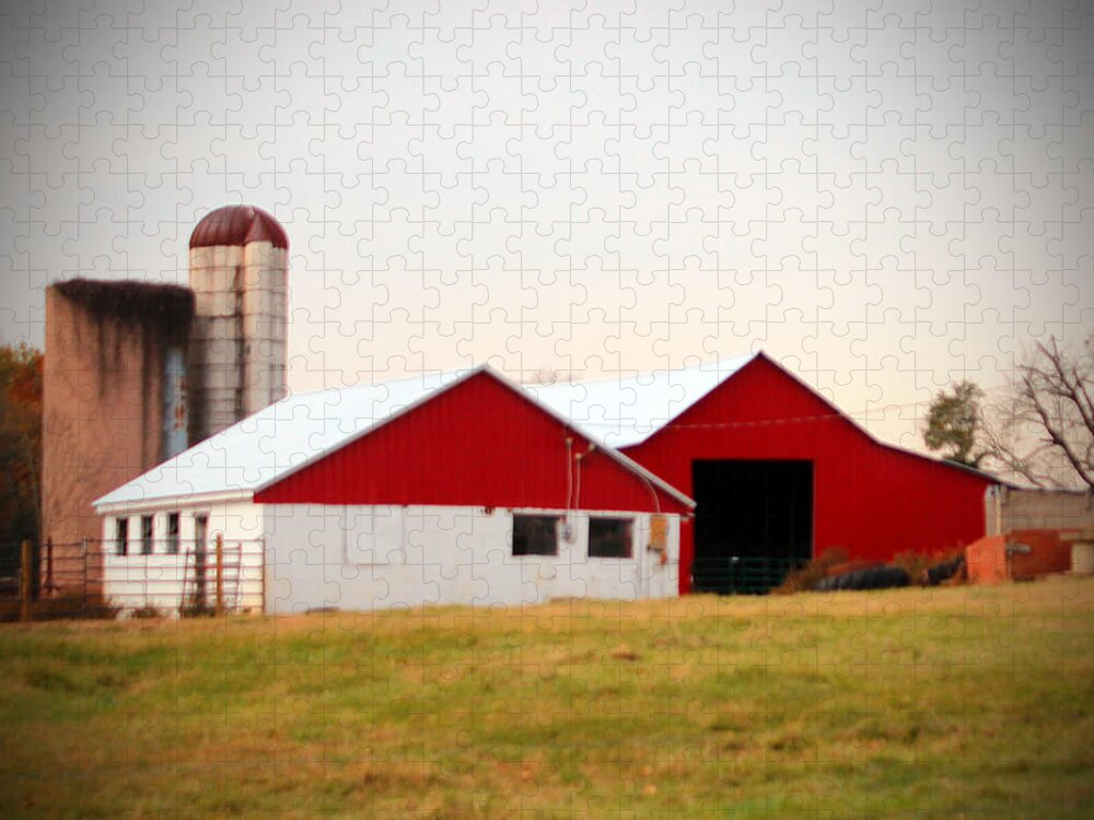 Barn Jigsaw Puzzle featuring the photograph Red And White Barn by Cynthia Guinn