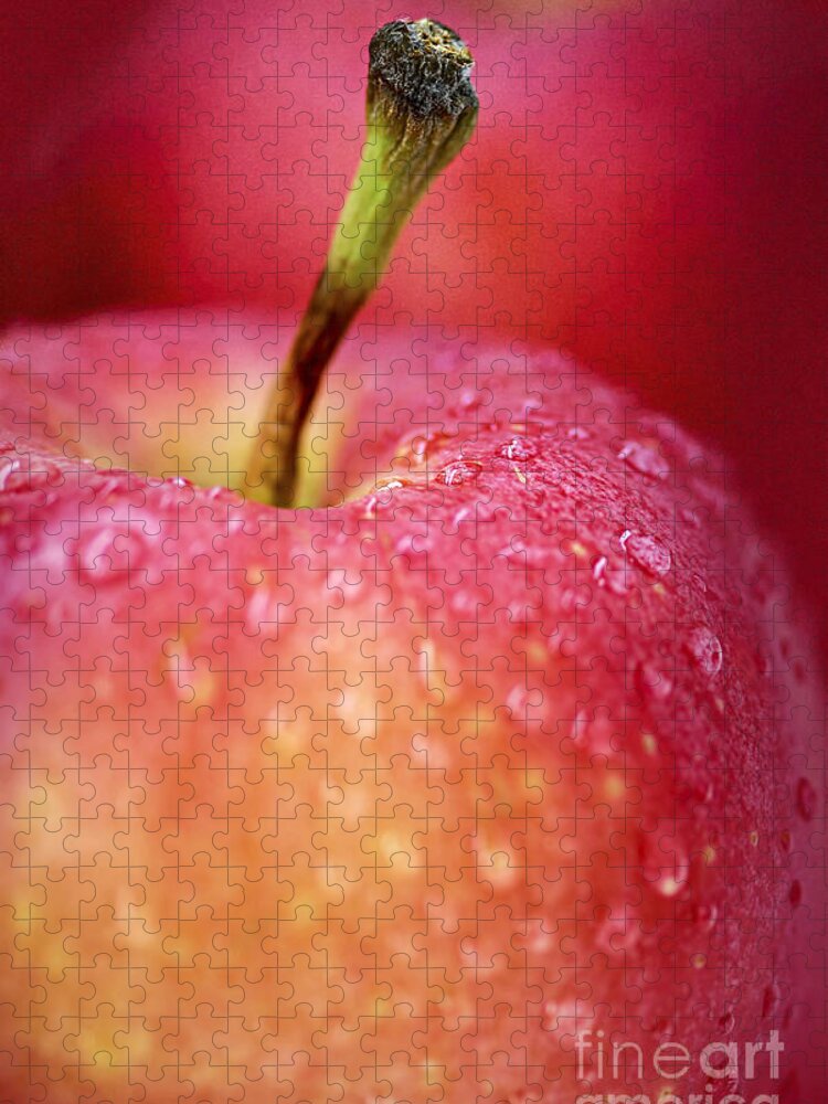 Apple Jigsaw Puzzle featuring the photograph Red apple macro by Elena Elisseeva