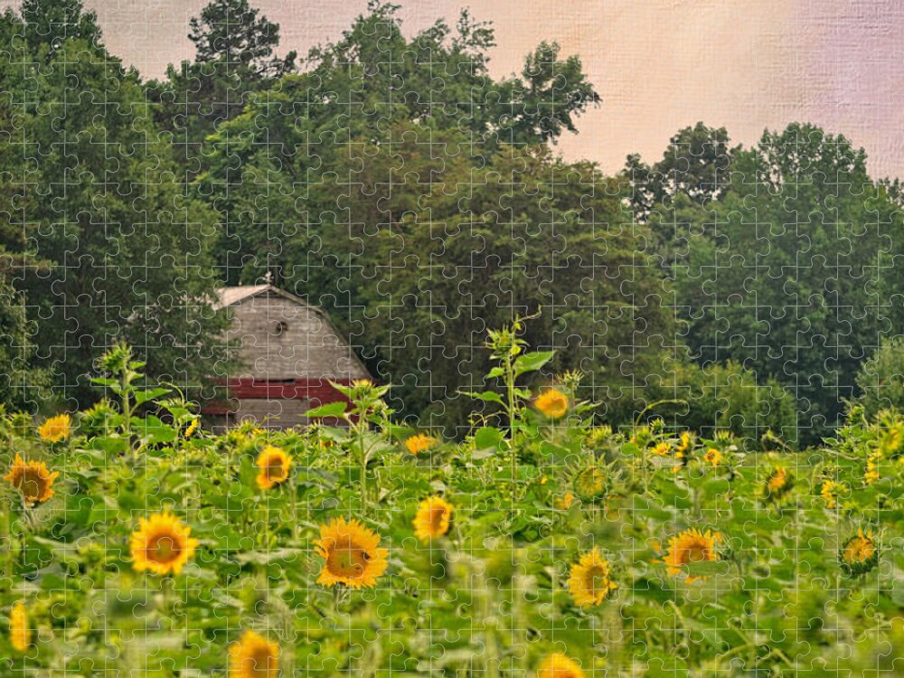 Red Barn Jigsaw Puzzle featuring the photograph Red Barn Among The Sunflowers by Sandi OReilly