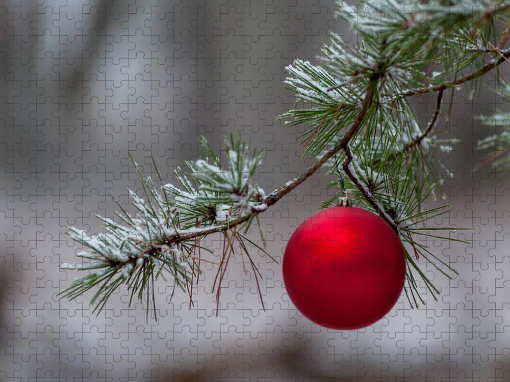 Terry D Photography Jigsaw Puzzle featuring the photograph Red Christmas Ball Branch by Terry DeLuco