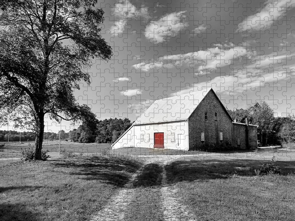 Red Door Jigsaw Puzzle featuring the photograph Red Door Old Barn by Janice Drew