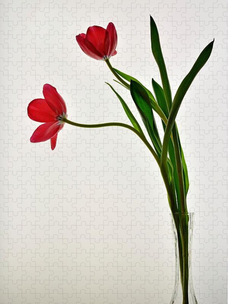 Flower Jigsaw Puzzle featuring the photograph Red Flowers in Glass Vase by Phyllis Meinke