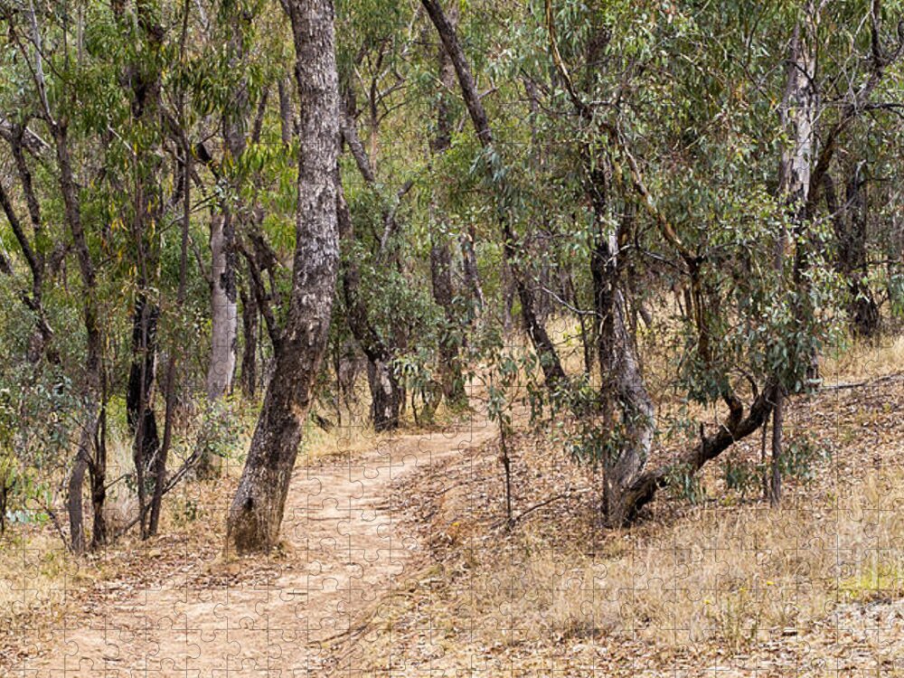 Australia Jigsaw Puzzle featuring the photograph Red Hill Trail by Steven Ralser