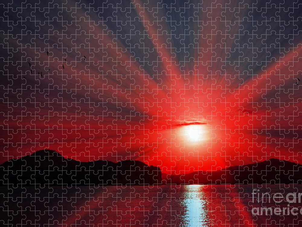Red Radiance Jigsaw Puzzle featuring the photograph Red Radiance by Kaye Menner