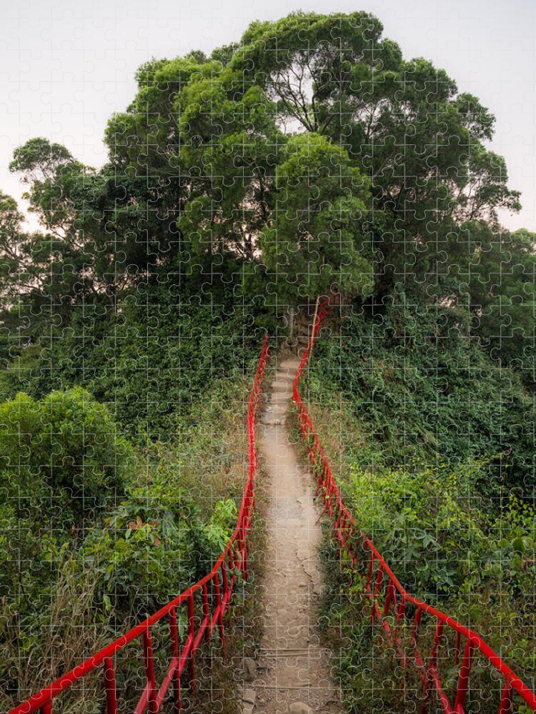 Subtropical Forest Puzzle featuring the photograph Red Rails by Alexander Kunz