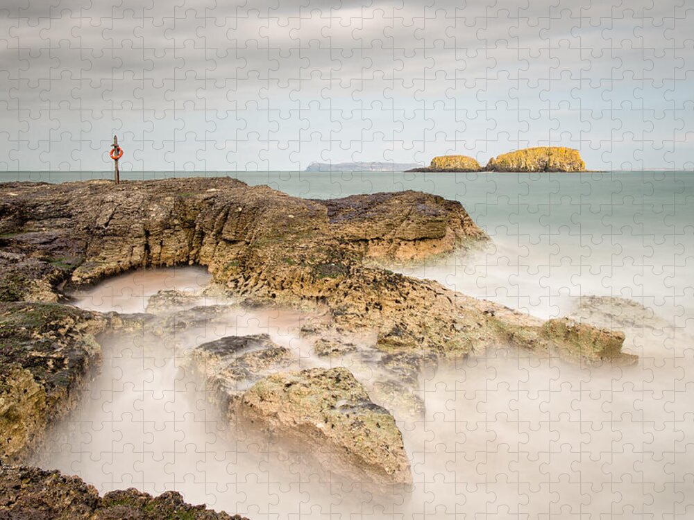 Sheep Island Jigsaw Puzzle featuring the photograph Red Ring, Ballintoy by Nigel R Bell