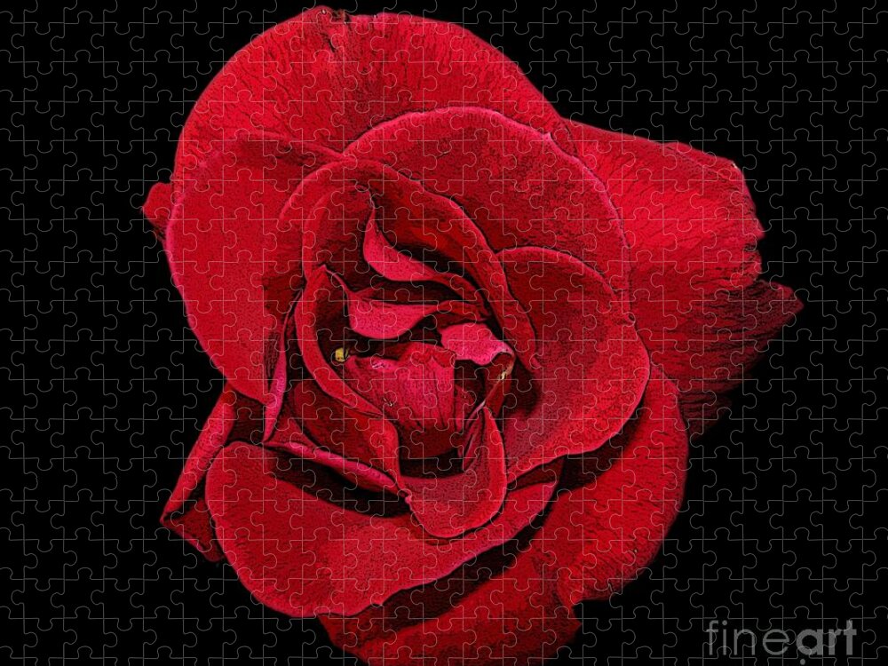 Poster Edge Effect Jigsaw Puzzle featuring the photograph Red Rose with Poster Edges Effect by Rose Santuci-Sofranko