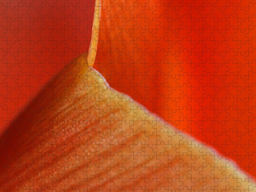 Abstract Jigsaw Puzzle featuring the photograph Red Surge by Juergen Roth