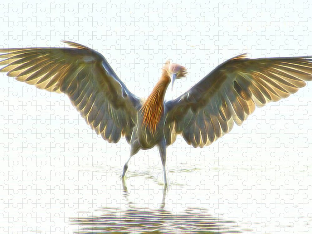 Reddish Egret Jigsaw Puzzle featuring the digital art Reddish Egret 2 by William Horden