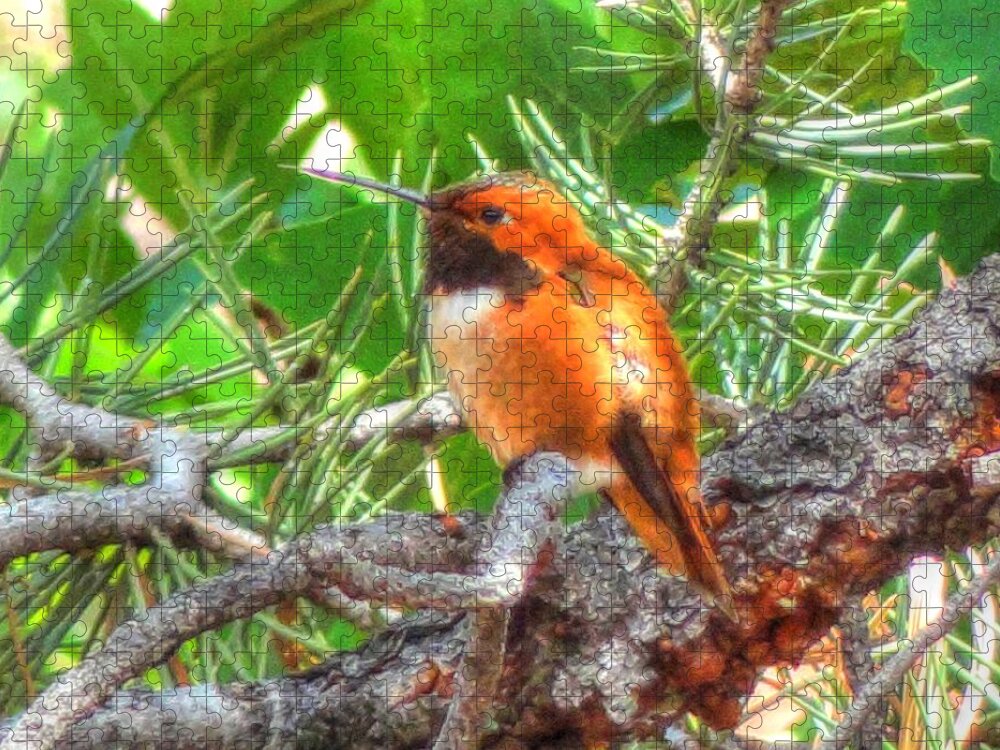 Rufus Jigsaw Puzzle featuring the photograph Redheaded Hummingbird II by Lanita Williams