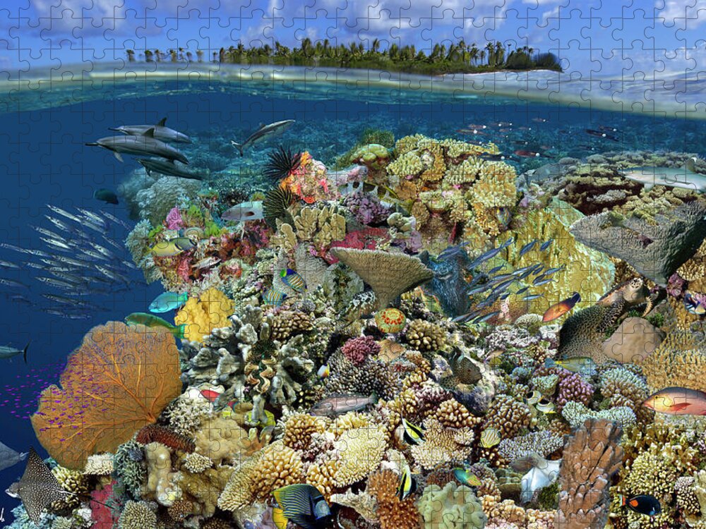 Marine Life Jigsaw Puzzle featuring the digital art Reef Magic by Artesub