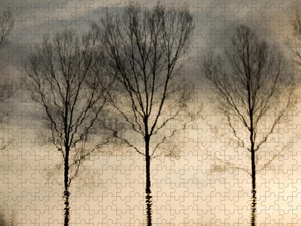 Landscape Jigsaw Puzzle featuring the photograph Reflections in grey II by Adriana Zoon