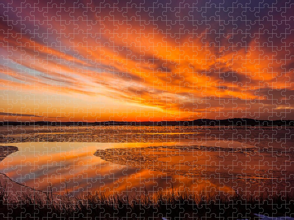 Massachusetts Jigsaw Puzzle featuring the photograph Reflections on a January thaw - Plum Island by Sylvia J Zarco