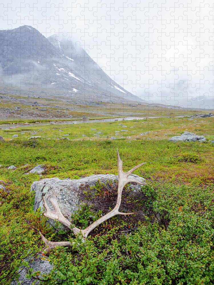 Sweden Jigsaw Puzzle featuring the photograph Reindeer Antler In Lapland by Photomick