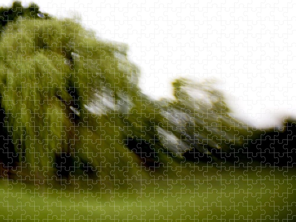 Trees Jigsaw Puzzle featuring the photograph Richteresque by Jean Macaluso