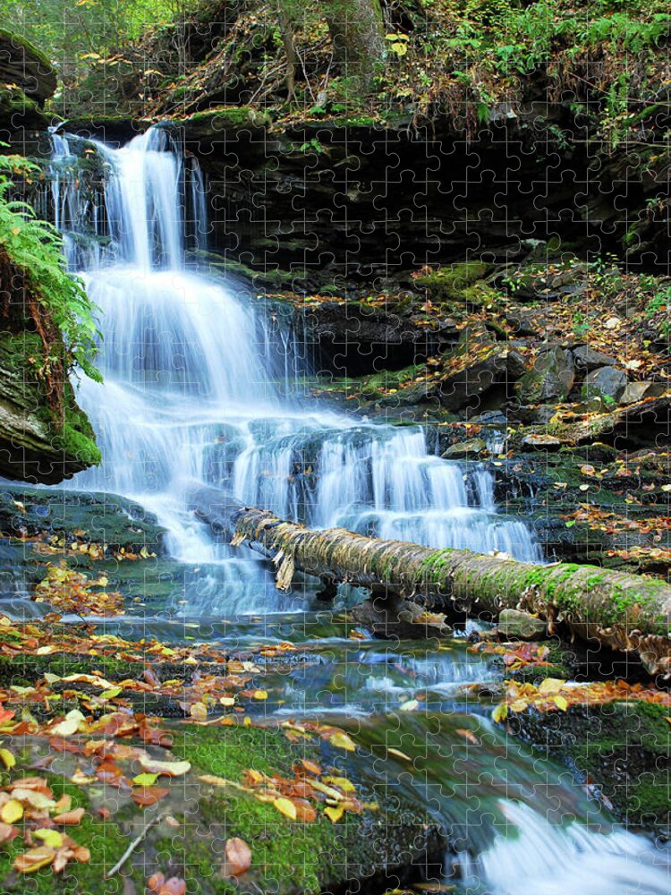 Cascade Waterfalls Jigsaw Puzzle featuring the photograph Ricketts Glen Hidden Waterfall by Crystal Wightman