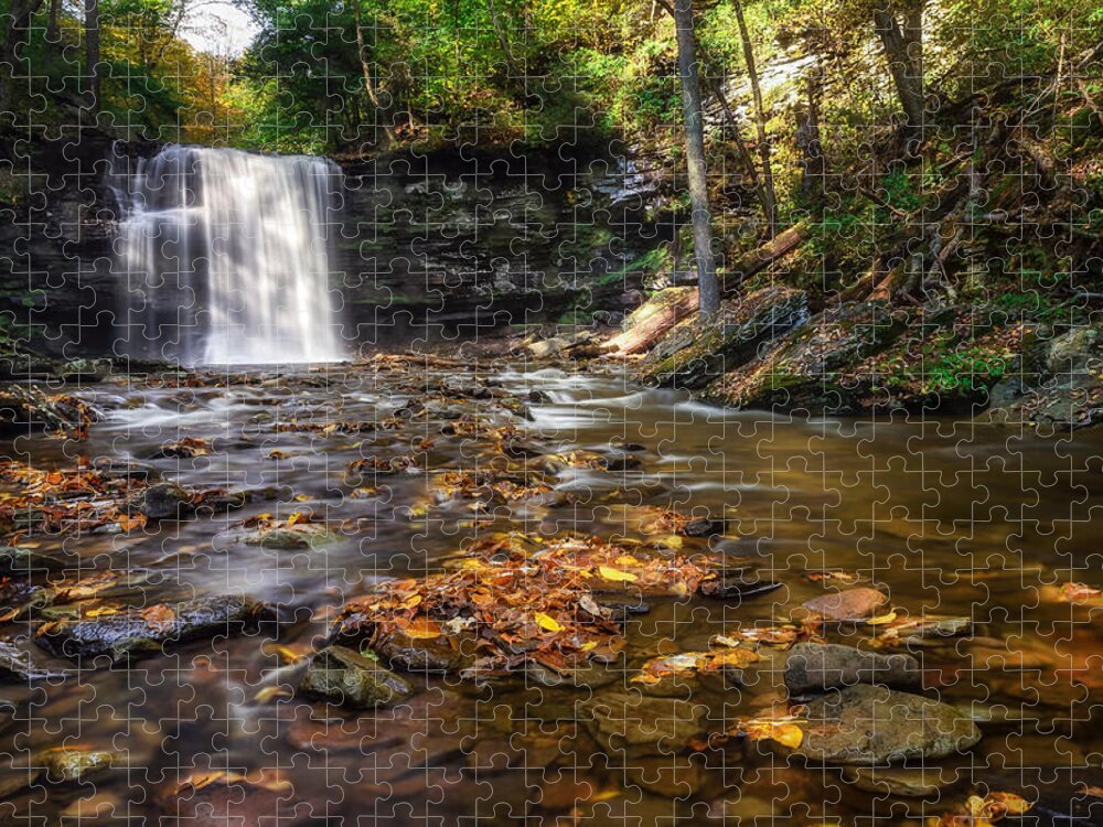 Ricketts Glen Waterfall Jigsaw Puzzle featuring the photograph Ricketts Glen Waterfall by Mark Papke