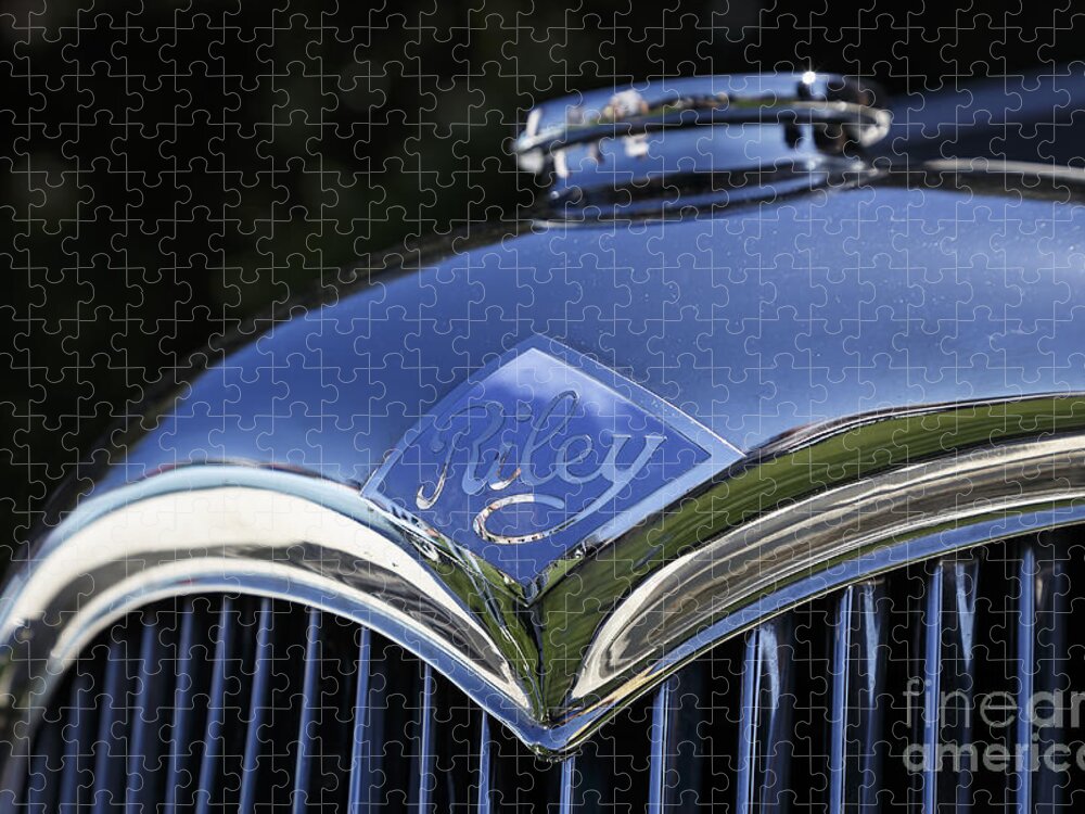 Riley Jigsaw Puzzle featuring the photograph Riley Grille by Dennis Hedberg