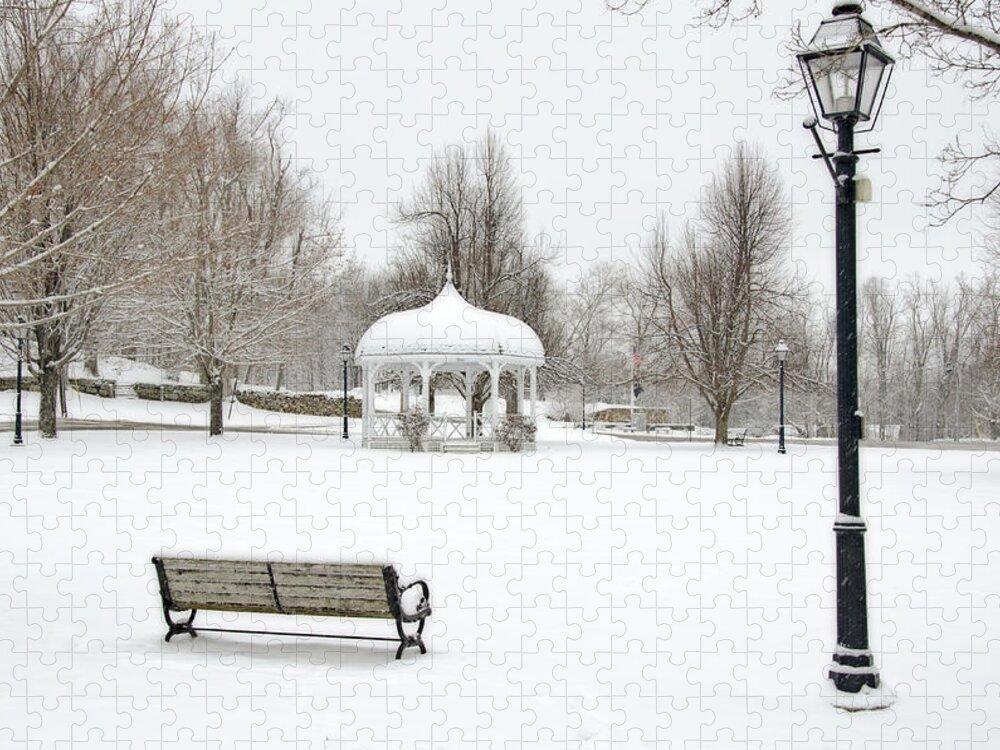 Common Jigsaw Puzzle featuring the photograph Rindge Common by Donna Doherty