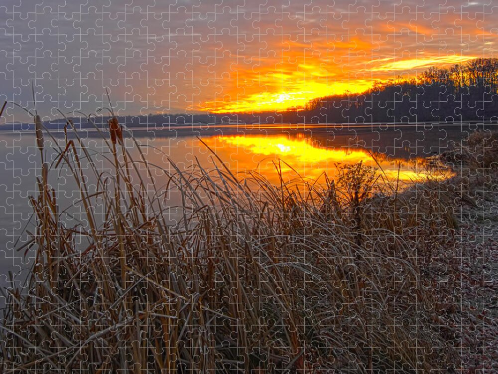 Cattails N Shoreline On Lake At Sunrise Jigsaw Puzzle featuring the photograph Rising Sunlights Up Shore Line Of Cattails by Randall Branham