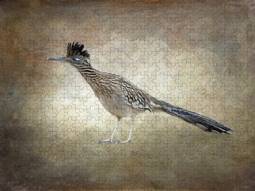 Birds Jigsaw Puzzle featuring the photograph Road Runner by Betty Pauwels 