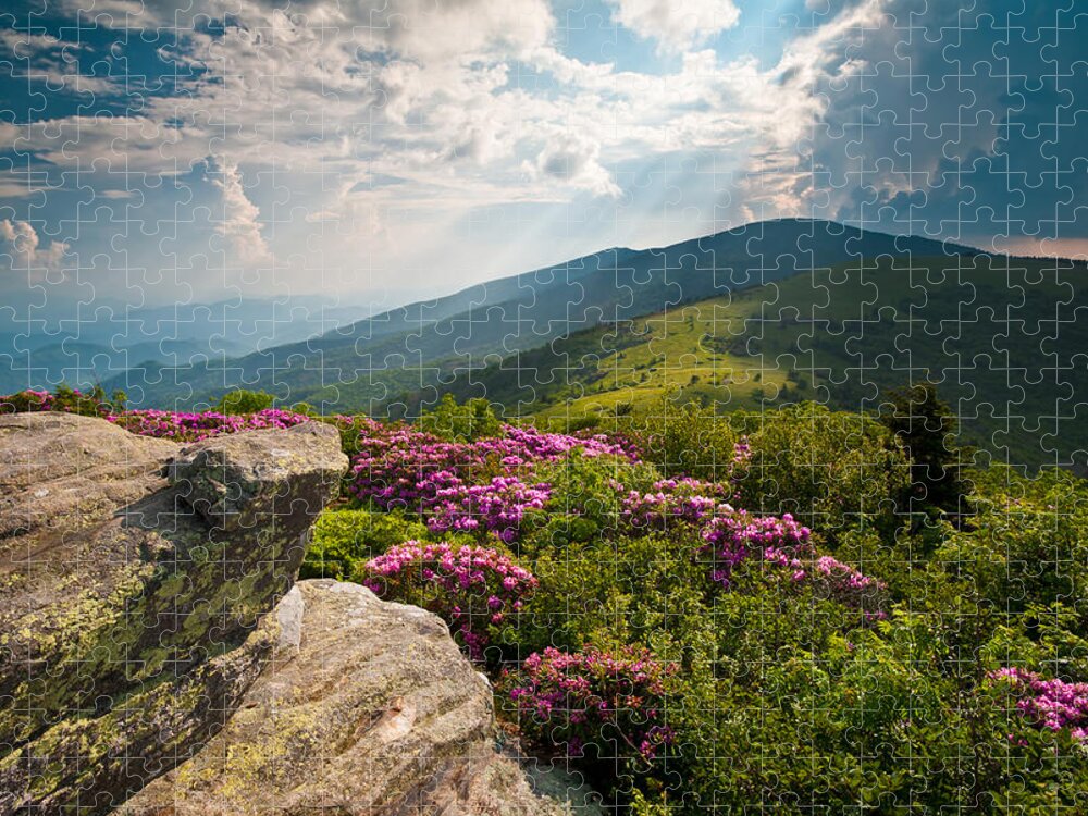 Appalachian Trail Jigsaw Puzzle featuring the photograph Roan Mountain from Appalachian Trail near Jane's Bald by Dave Allen