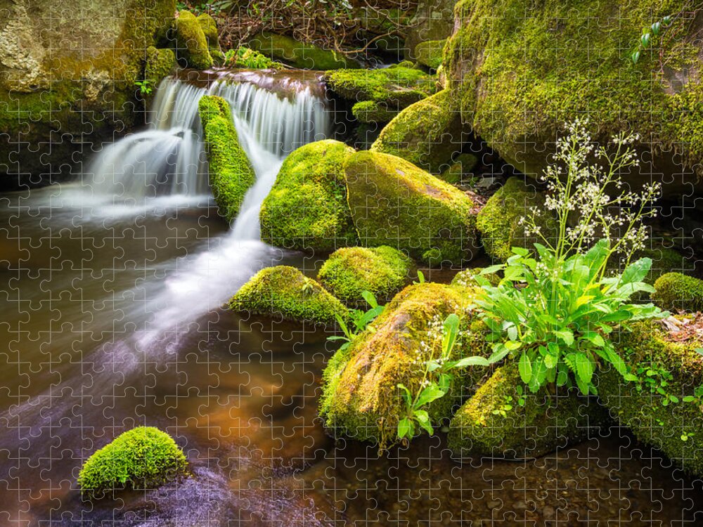 Great Smoky Mountains Jigsaw Puzzle featuring the photograph Roaring Fork Great Smoky Mountains National Park TN by Dave Allen