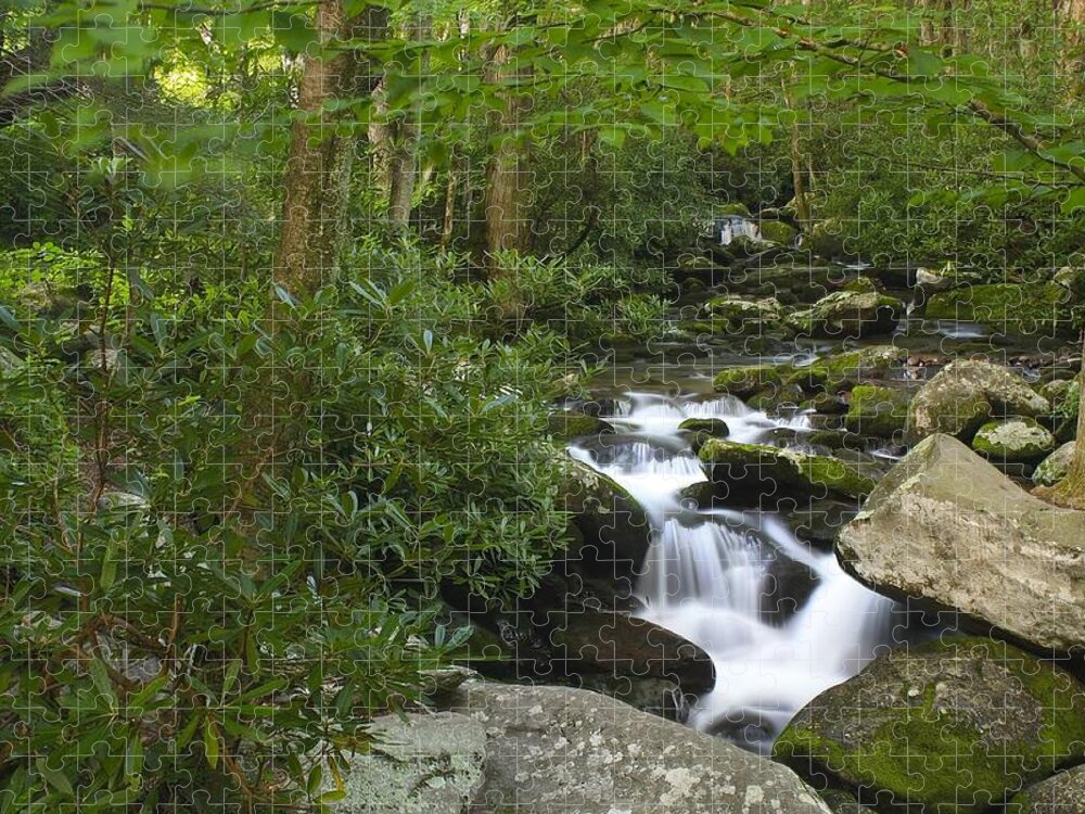 Art Prints Jigsaw Puzzle featuring the photograph Roaring Fork by Nunweiler Photography