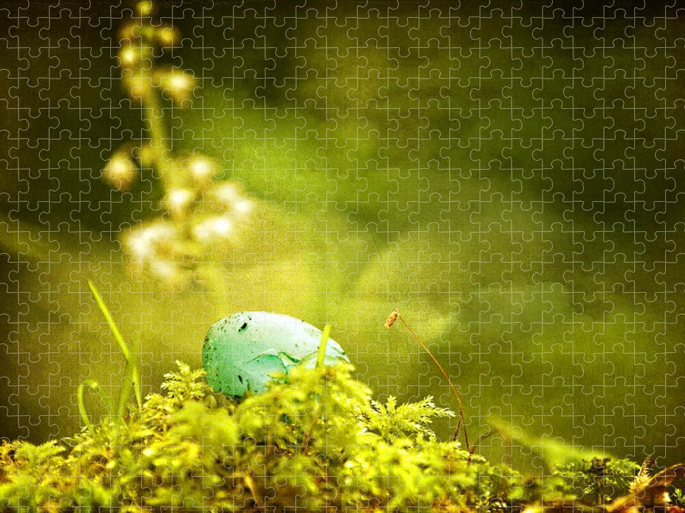 Egg Jigsaw Puzzle featuring the photograph Robin's Egg on Moss by Peggy Collins